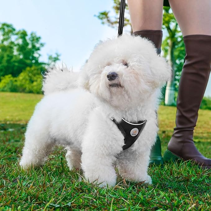 Dog Harness and Leash Set, No Pull Soft Mesh Pet Harness for Small Medium Dogs, Cats - Step in Adjustable Reflective Puppy Harness with Buckle and Double D-Rings - Black, XXS