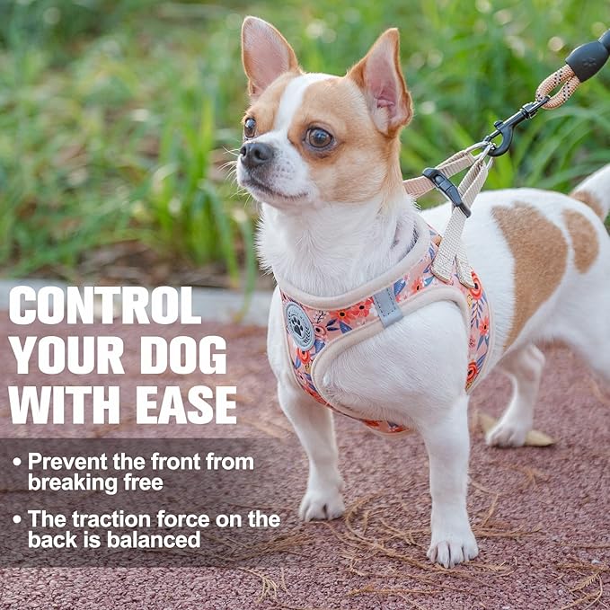 BEAUTYZOO Step in Dog Harness and Leash Set, Floral Pattern Reflective Dog Harness No Pull No Choke Puppy Harness for XXS XS S Dogs Cats, Soft Padded Mesh Vest Harnesses for Girl and Boy Pets