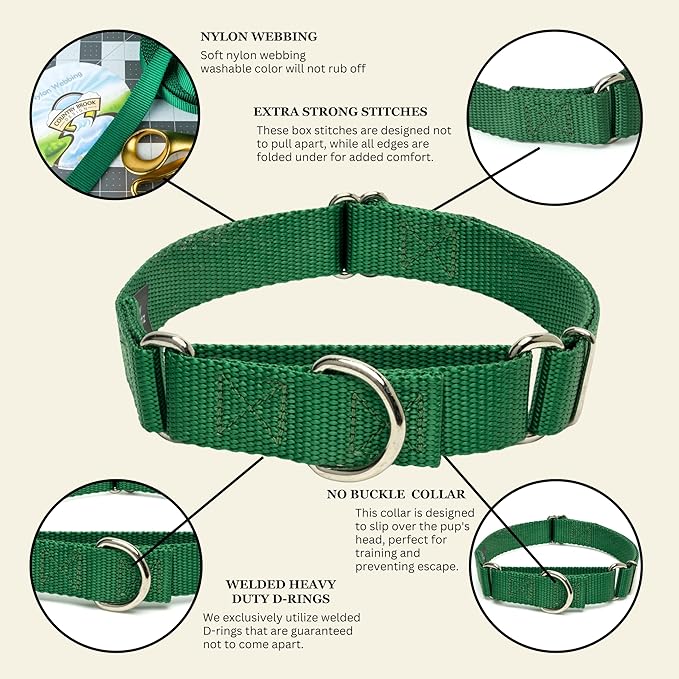 Country Brook Petz Martingale Dog Collar - Heavy-Duty Training Collar with No Buckle - Service Dog Collar for All Pups - Vibrant, Colorful Collection (Christmas Green, 5/8 Inch, Extra Small)