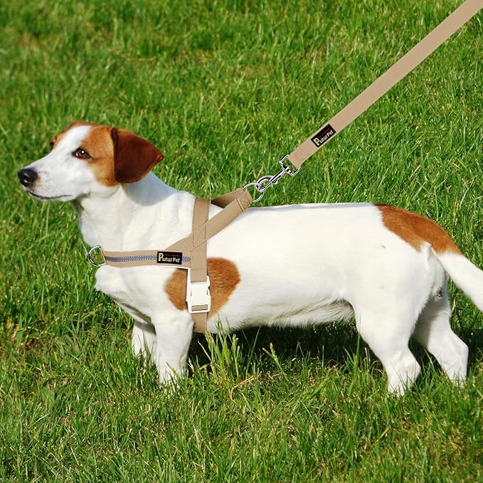 Plutus Pet Cotton Dog Harness and Leash Set, Reflective and Soft Padded, Quick Fit Vest Harness, for Small, Medium and Large Dogs, Beige, XS