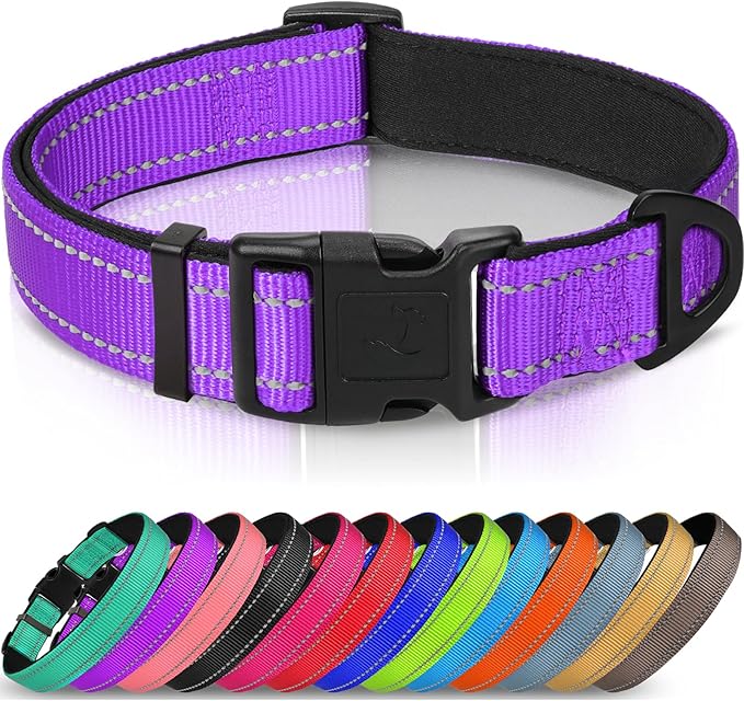 Joytale Reflective Dog Collar,Soft Neoprene Padded Breathable Nylon Pet Collar Adjustable for Medium Dogs,Purple,M