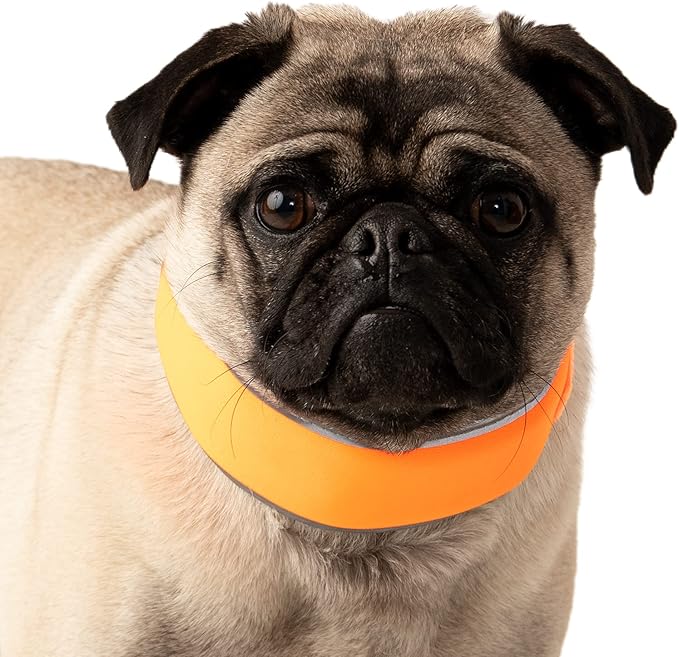 Hi-Vis Dog Cooling Collar - Orange Reflective Re-Freezable Ice Collar (Small)
