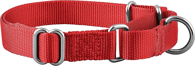 Native Pup Martingale Dog Collar, Adjustable for Small, Medium, Large pet and Puppies Accessories, Cute Colors for Male, Female, Boy, Girl, Puppy (Medium, Red)
