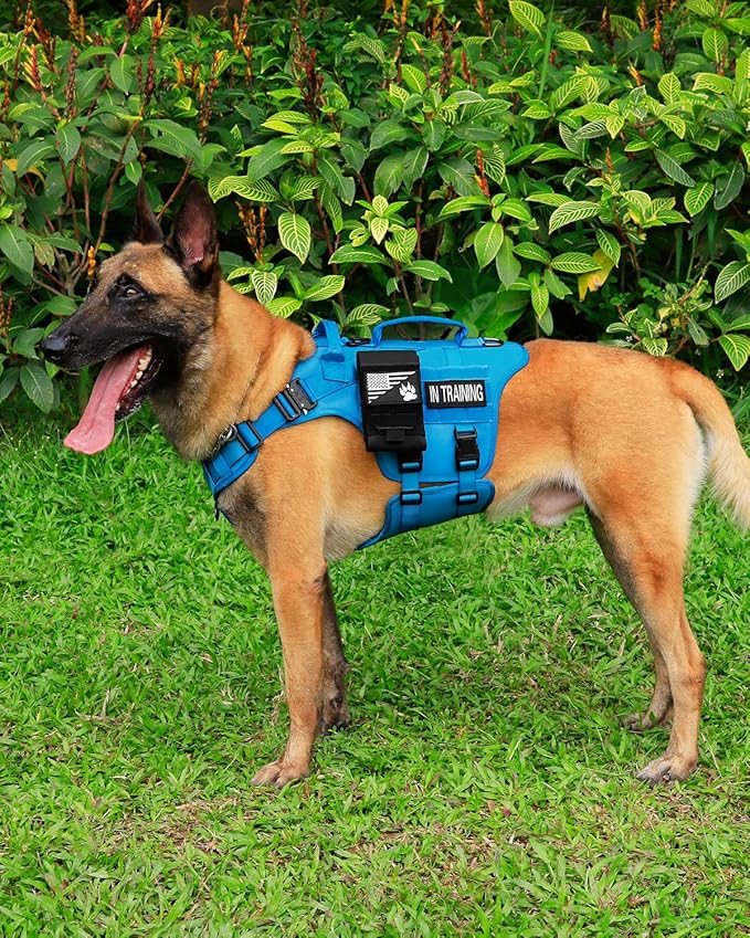 Tactical Dog Harness - PETNANNY Dog Harness Service Dog Vest for Large Breed Dog, Hook and Loop Panel for Service Dog Patchs, Work Dog MOLLE Vest with Handle for Walking Hiking Training(Blue,XL)