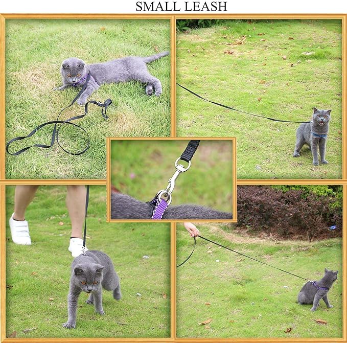 AMAGOOD 6 FT Cat Leashes, Strong Traditional Style Leash with Easy to Use Collar Hook,Cat Lead Great for Cats (Black(Pack of 1),3/8" x 6 Feet)