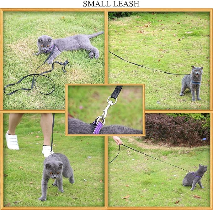 AMAGOOD 6 FT Puppy/ Dog Leash, Strong and Durable Traditional Style Leash with Easy to Use Collar Hook, Great for Small, Medium and Large Dogs (5/8 in x 6 ft, Black and Blue (2-Pack))