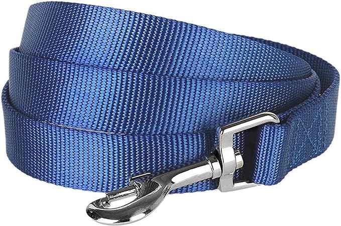 Blueberry Pet Essentials Durable Dog Leash - Puppy Essentials, Cat Harness and Leash, Dog Products, Dog Leashes for Medium Dogs, 5ft True Navy Nylon Leash with Eco-Friendly Buckle