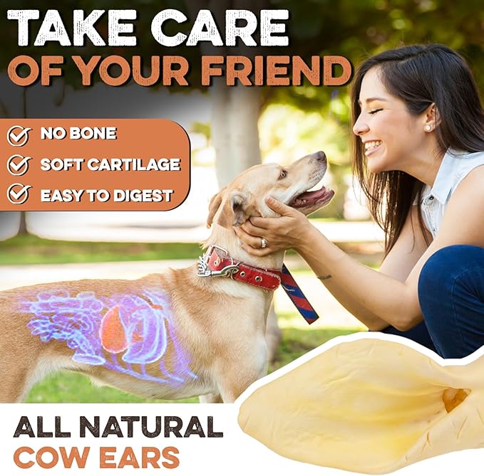 Premium Cow Ears For Dogs, Thick Cut & All-Natural Whole Ears, 100% Grass Fed Beef, No Additives Or Hormones, Safe Rawhide Alternative, Great Dog Treat Alternative To Pig Ears, Bully Sticks, Dog Bones