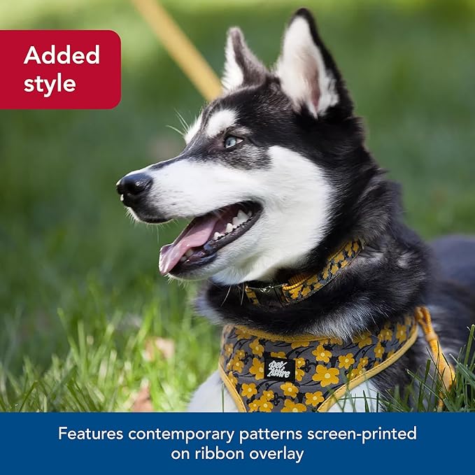 Coastal Pet - Ribbon - Adjustable Dog Collar with Metal Buckle, Brown Paws and Bones, 5/8" x 12"-18"