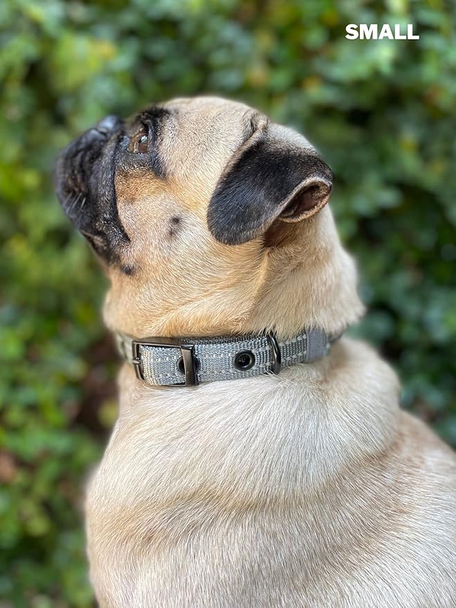 Heavy Duty Dog Collar with Handle | Ballistic Nylon Heavy Duty Collar | Padded Reflective Dog Collar with Adjustable Stainless Steel Hardware | Convenient Sizing for All Breeds