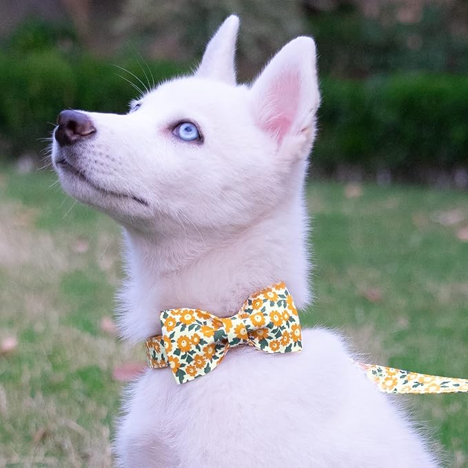 Tunkoo Dog Collar Floral with Elegant Bow Tie Soft Comfy Cotton Adjustable Collar, Premium Metal Buckle for Puppy and Cat Small Medium Large(Yellow Flowers,M)