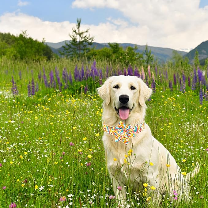 Lionheart glory Dog Collar with Flower, Sunflower Pattern Pet Collar Durable Cute Dog Flower Collars Summer Spring Female Pet Gift Adjustable Dog Collar for Large Dogs