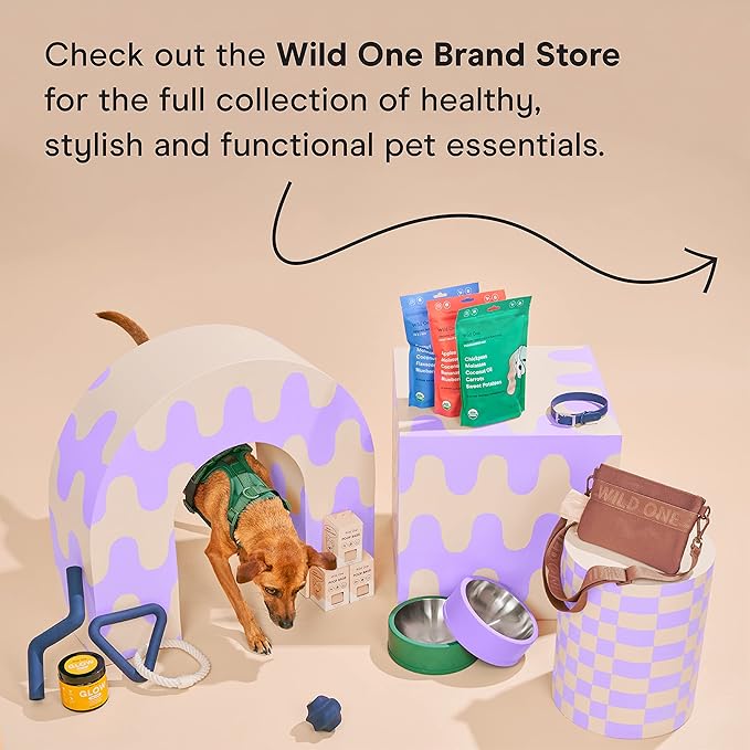 Wild One Organic Natural Crunchy Baked Dog Treats Made in The USA Peanut Butter & Jelly 8 Ounce 3 Pack