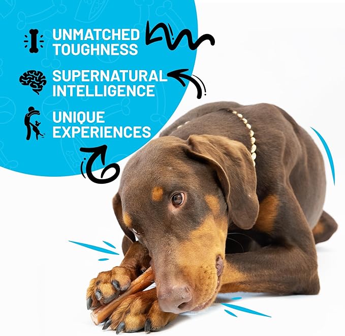 Sitka Farms Bully Sticks XL 12 inch - 6 Count - Bully Sticks 100% Natural and Long Lasting Dog Chews for Medium Large and Small Dogs of All Breeds - Grain & Rawhide Free Chews