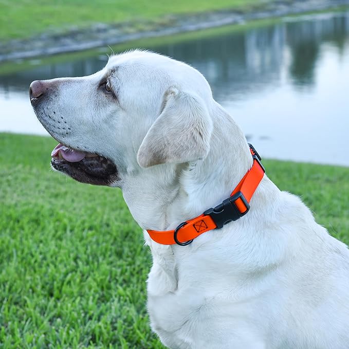 Dogline Biothane Waterproof Dog Collar with Quick Release Buckle Strong Coated Nylon Webbing with Odor- Proof for Easy Care Easy to Clean Fits Small Medium or Large Dogs, Orange 1" W 15-23" L