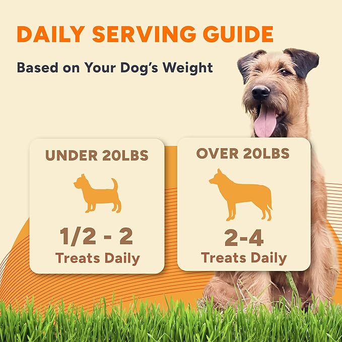 Gaines Family Farmstead Sweet Potato & Peanut Butter Dog Bones – 40 oz, Grain-Free, All-Natural Dog Treats for Digestion, Skin, Energy & Immunity – Limited Ingredient, Made in USA