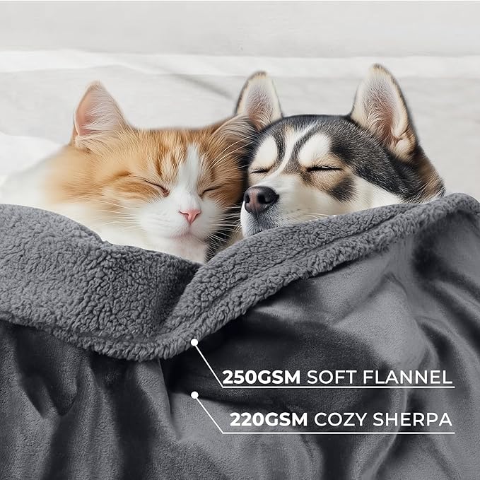 Waterproof Pet Blanket, Liquid Pee Proof Dog Blanket for Sofa Bed Couch, Reversible Sherpa Fleece Furniture Protector Cover for Small Medium Large Dogs Cats, Dark Gray Large(65" x 57")