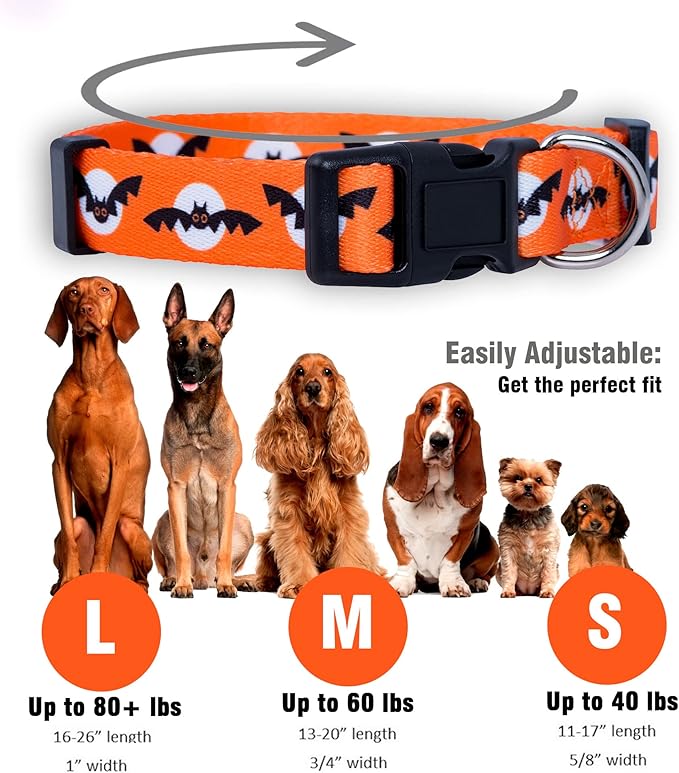 Native Pup Halloween Dog Collar- Spooky Fall Themed Horror Costume Collars- Skull, Pumpkin, Ghost, Bat, Witch, Candy Corn, Spider- Adjustable for Small, Medium, Large Breeds (Medium, Bats and Moon)