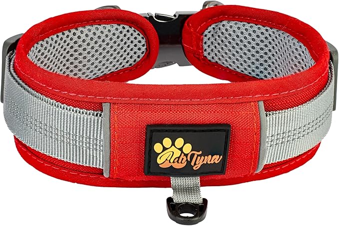 Durable 2-inch Adjustable Dog Collar for Medium Dogs – Reflective, Heavy-Duty Metal Buckle, Comfortable Mesh Lining, Includes Patch and AirTag Holder (Red, Medium: Fit 15" - 18" Neck)