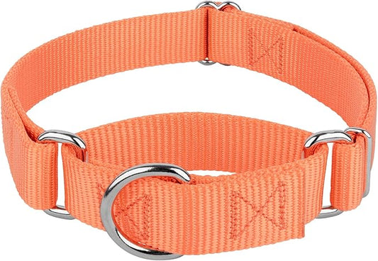 Country Brook Petz Martingale Dog Collar - Heavy-Duty Training Collar with No Buckle - Service Dog Collar for All Pups - Vibrant, Colorful Collection (Mango, 3/4 Inch, Small)
