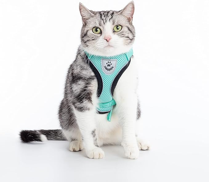 PUPTECK Cat Harness and Leash Set Escape Proof Reflective Cat Walking Harness Adjustable Soft Breathable Mesh Vest for Small Pets, Aquamarine, XS