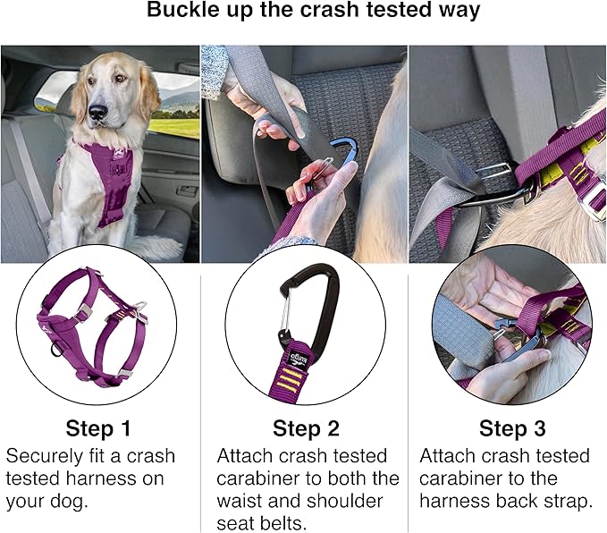 Kurgo Enhanced Strength Tru-Fit Smart Dog Harness, Deep Violet, Small - Crash Tested Car Safety Harness for Dogs, No Pull Dog Harness, Includes Pet Safety Seat Belt Tether, Steel Nesting Buckles