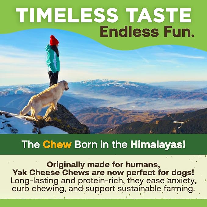EcoKind Yak Cheese Chews | 1 Stick - 5 oz. | Healthy, Odorless, Rawhide-Free Dog Treats, Long-Lasting Dog Bones for Aggressive Chewers, Indoors & Outdoor Use, Made in The Himalayans