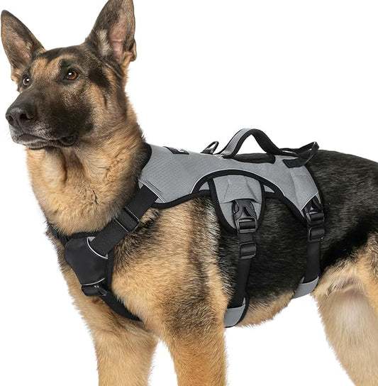 rabbitgoo Escape Proof Dog Harness, Soft Padded Full Body Pet Harness, Reflective Adjustable No Pull Vest with Lift Handle and Leash Clip for Large Dogs Walking Hiking Training, XL, Grey