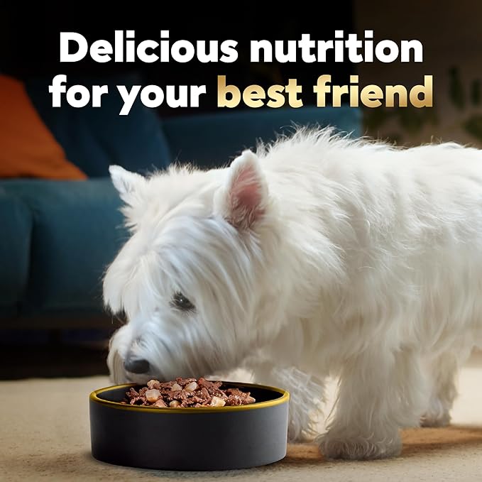 Cesar Home Delights Adult Wet Dog Food Grilled Ribeye Steak Flavor with Vegetables in Sauce, 3.5 oz. Easy Peel Trays, Pack of 24