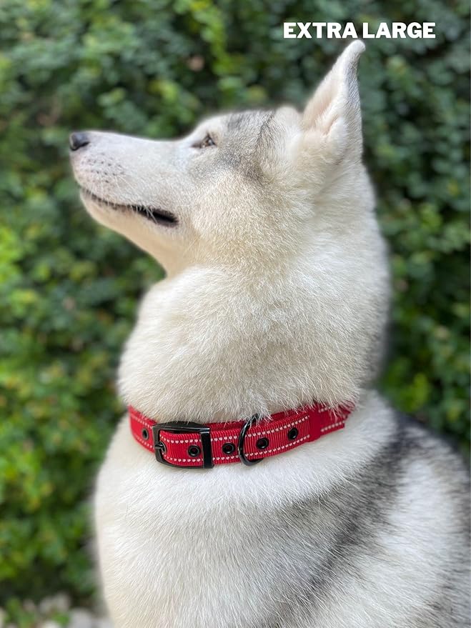 Tuff Pupper Heavy Duty Dog Collar with Handle | Ballistic Nylon Heavy Duty Collar | Padded Reflective Dog Collar with Adjustable Stainless Steel Hardware | Convenient Sizing for All Breeds