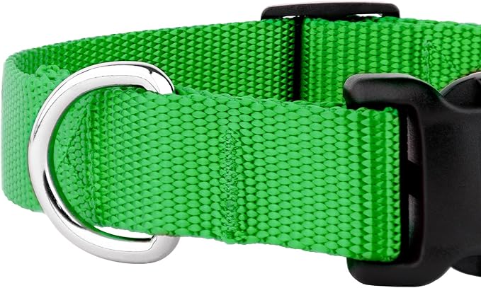 Country Brook Petz - American-Made Dog Collar for Large, Medium, and Small Dogs and Puppies - Deluxe Heavy Duty Nylon in 33 Dazzling Colors (Extra Large, 1 Inch Wide, Hot Lime Green)