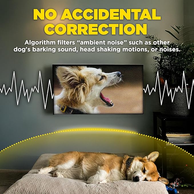 Dogtra Smart NOBARK – Detects Whining and Barking – App Control E-Collar, Usage Notification, Behavior Report, Waterproof IPX9K, 30 Yard Range, Compact Size for 10lbs Dogs, Triple Detection Accuracy