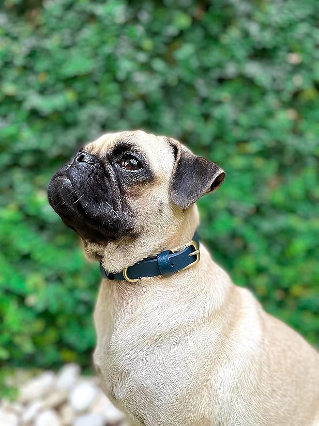 Tuff Pupper Classic Heavy Duty Dog Collar | 10x Stronger Than Leather | 100% Waterproof & Odor Proof Dog Collar | Tough Rust-Proof All Metal Hardware