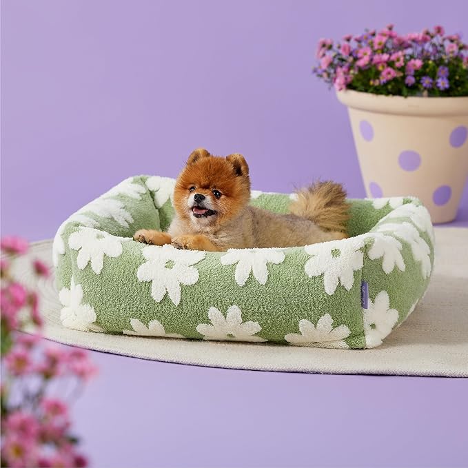 Lesure Cute Dog Bed for Small Dogs - Washable Puppy Beds,Cozy Rectangle Orthopedic Pet Sofa with Jacquard Shaggy Plush & Anti Slip Bottom,25x21x7inches