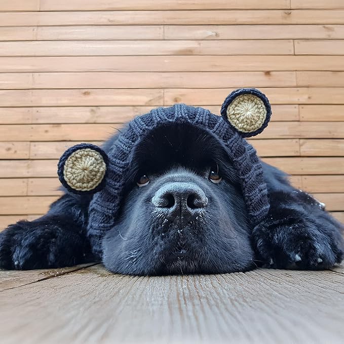 Zoo Snoods Black Bear Costume - Warm Knit Dog Snood Wrap for Pets, Neck Ear Cover Protection, Halloween Winter (Medium)