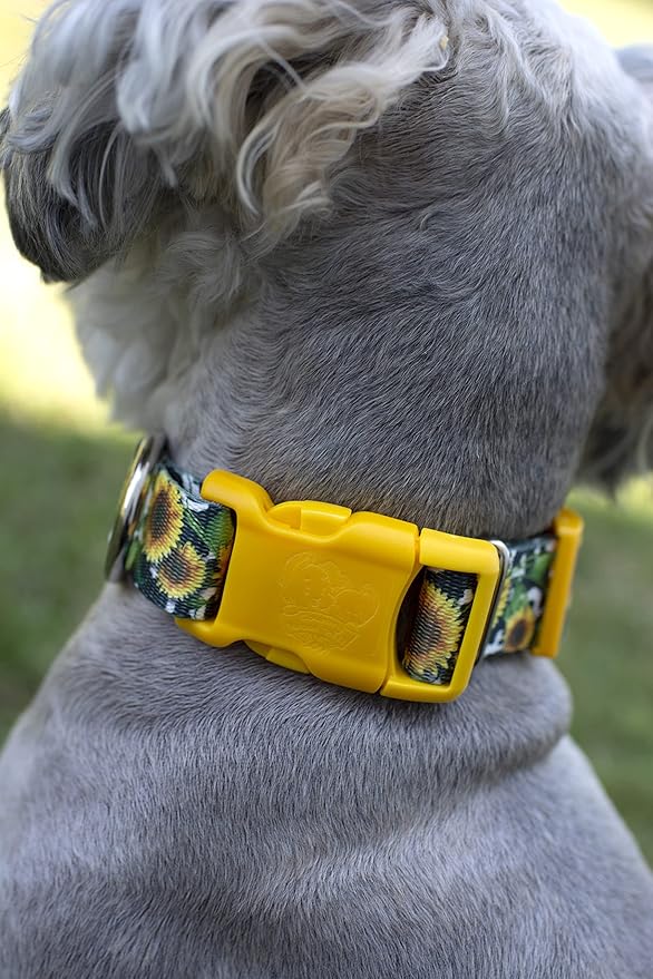 Country Brook Petz - Deluxe Dairy Fields Dog Collar - Made in The U.S.A. - Country and Western Collection Featuring Rustic Designs (1 Inch, Large)