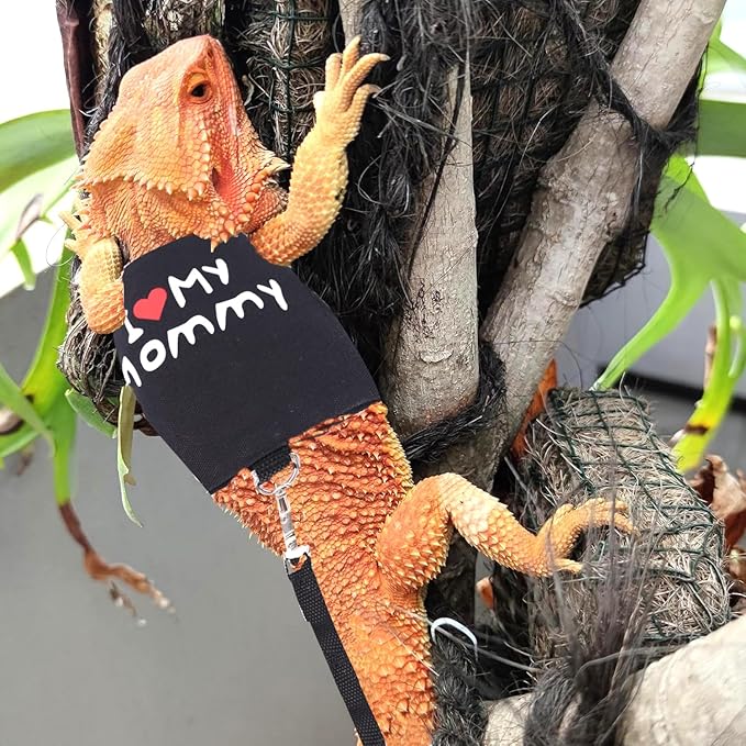 Bearded Dragon Travel Carrier with Security Printing Harness Leash Set,Lizard Carrier Cage,Guinea Pig Carrier for 2,Reptile Travel Carrier for Leopard Gecko Desert Iguana Crested Geckos