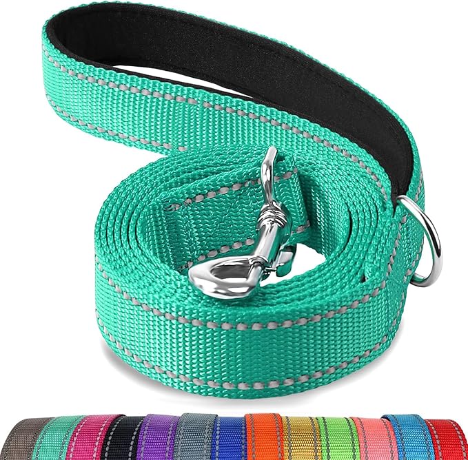 Joytale Double-Sided Reflective Dog Leash, 6 FT/5 FT/4 FT, Padded Handle Nylon Heavy Duty Leashes for Small & Medium Dogs Walking, Teal, 4FT