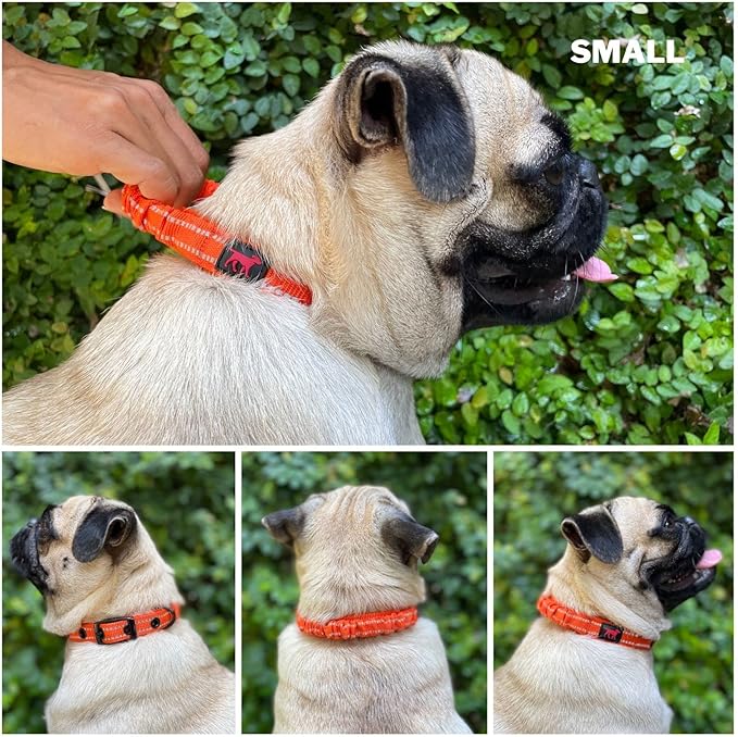 Tuff Pupper Heavy Duty Dog Collar with Handle | Ballistic Nylon Heavy Duty Collar | Padded Reflective Dog Collar with Adjustable Stainless Steel Hardware | Convenient Sizing for All Breeds