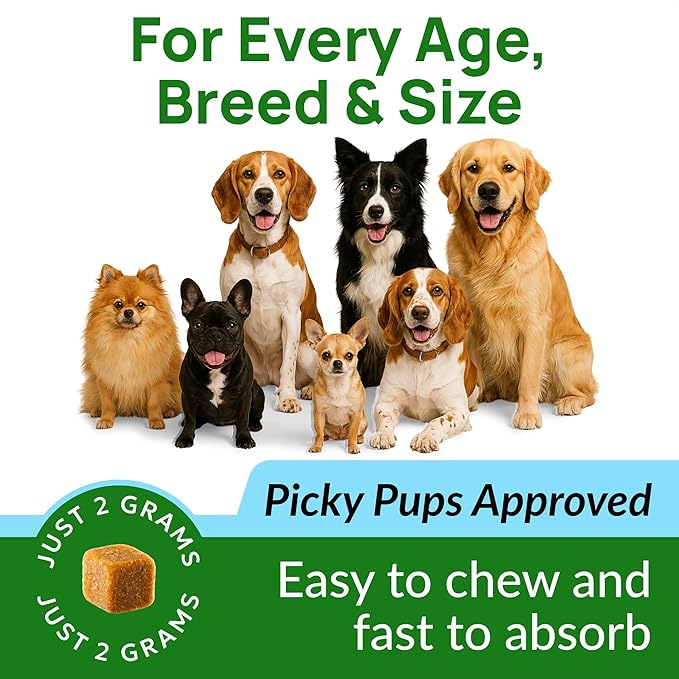 Green Grass Dog Chews w/Probiotics - Prevent Urine Burning Grass - Dog Pee Grass Spot Saver - Dog Urine Neutralizer for Lawn Treats, UT & Gut Health for Dogs, Lawn Burn from Dog Urine