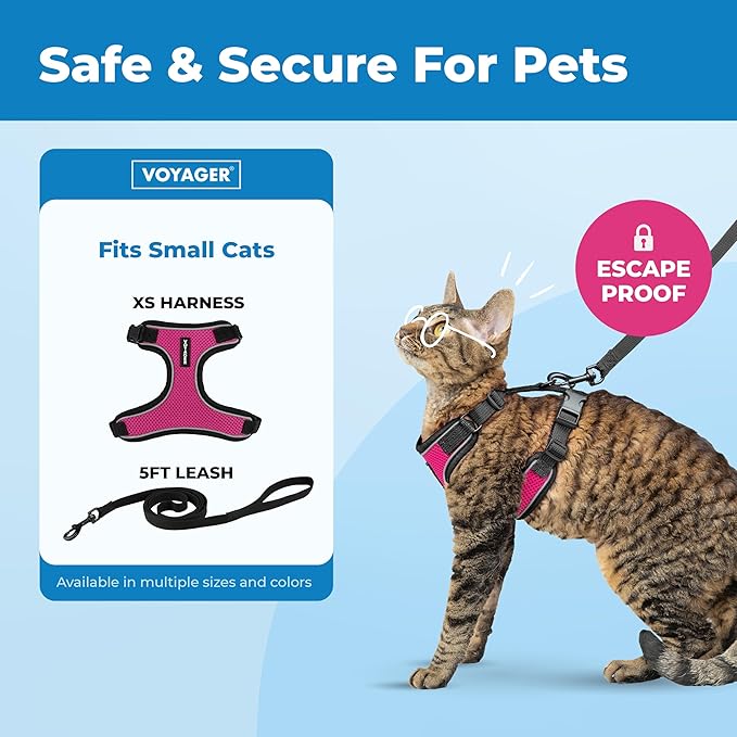 Voyager Escape Proof Cat Harness and Leash set with Reflective Stitching, Neoprene Handle 5ft - Supports Small, Medium and Large Cats, Kittens for walking by Best Pet Supplies - Black Trim-Fuchsia, XS