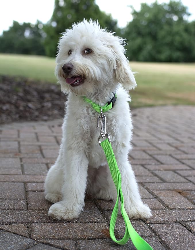 Country Brook Petz - American-Made Dog Collar for Large, Medium, and Small Dogs and Puppies - Deluxe Heavy Duty Nylon in 33 Dazzling Colors (Extra Large, 1 Inch Wide, Hot Lime Green)