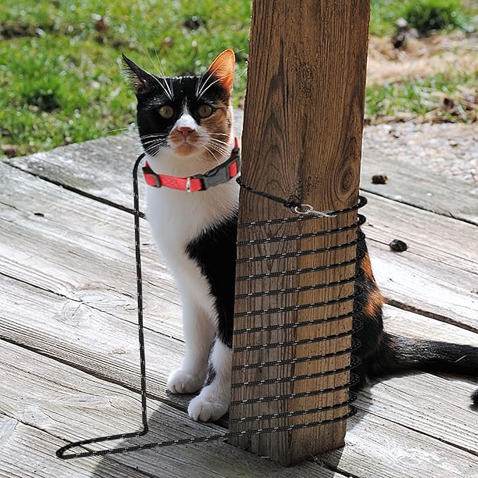Extra Long Cat Leash for Yard, 9M/30FT Lightweight Outdoor Cat Leash Long Light Extension, Long Thin Lead for Rabbits, Kitten, Puppy and Small Animals