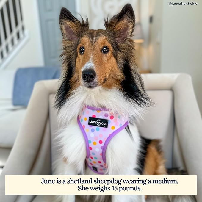 Lucy & Co. Cute Reversible Dog Harness Walking Halter - Best Designer Pet Harnesses for XS - XL Dogs - Padded Adjustable Vest for Easy Walking (X-Large, Unicorn Magic - Purple & Pink Unicorns)