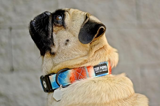 Tuff Pupper Premium Adjustable Dog Collar for X-Large Girl Dogs, Stylish Pattern Collars Designed in USA, Quick Release Buckle, RadiantSkies Print for Female Dog, XL (1.25 Inch Wide x 20-30 Inch Neck)