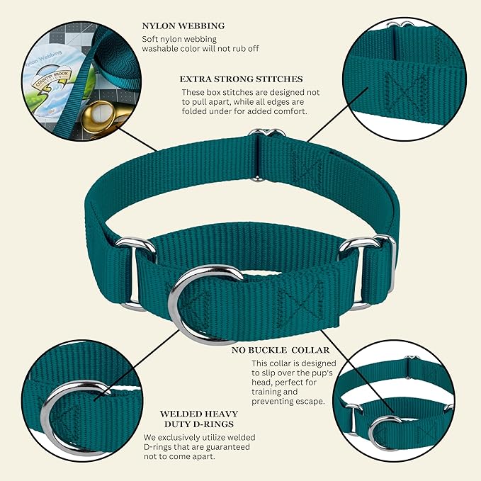 Country Brook Petz Martingale Dog Collar - Heavy-Duty Training Collar with No Buckle - Service Dog Collar for All Pups - Vibrant, Colorful Collection (Teal, 1 Inch, Medium)