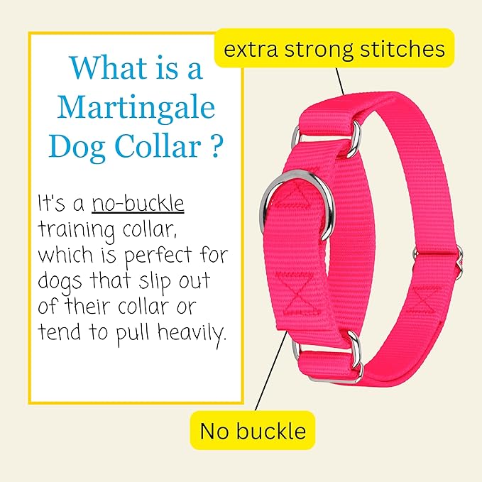 Country Brook Petz Martingale Dog Collar - Heavy-Duty Training Collar with No Buckle - Service Dog Collar for All Pups - Vibrant, Colorful Collection (Hot Pink, 3/8 Inch, 3XS)