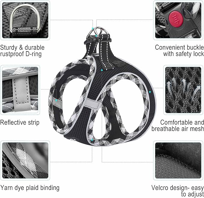 haapaw Dog Harness with Leash Set, No Pull Adjustable Reflective Step-in Puppy Harness with Thickened Padded Vest for Extra-Small/Small Medium Dogs