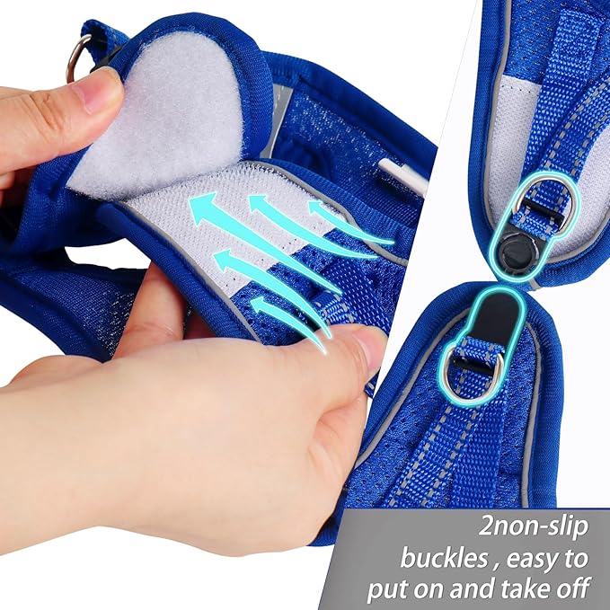 Dog Harness for Small Dogs and Leash Set, Honeycomb Grid, Reflective Lightweight Harness & Anti-Twist Pet Lead (Multi Color, Size: XS-S-M) (M, Sapphire Blue)