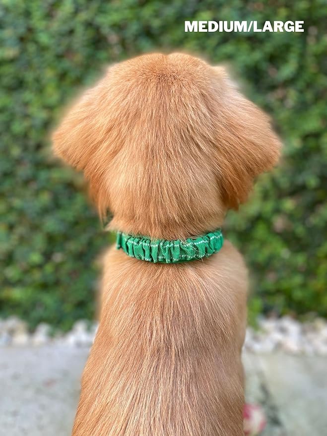 Heavy Duty Dog Collar With Handle | Ballistic Nylon Heavy Duty Collar | Padded Reflective Dog Collar With Adjustable Stainless Steel Hardware | Convenient Sizing for All Breeds